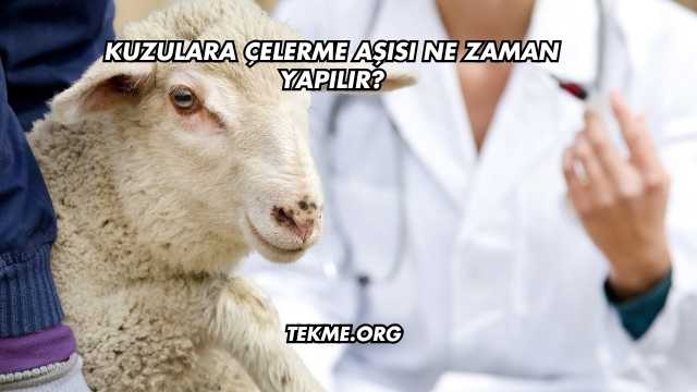 Kuzulara Çelerme Aşısı Ne Zaman Yapılır?