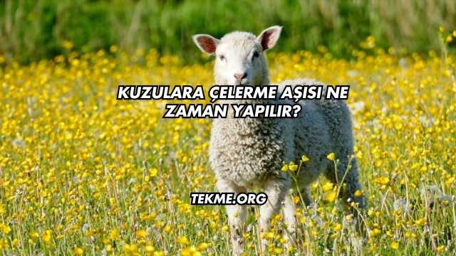 Kuzulara Çelerme Aşısı Ne Zaman Yapılır?