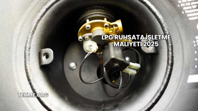 LPG Ruhsata İşletme Maliyeti 2025