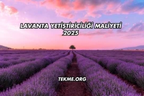Lavanta Yetiştiriciliği Maliyeti 2025
