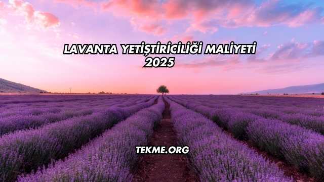 Lavanta Yetiştiriciliği Maliyeti 2025