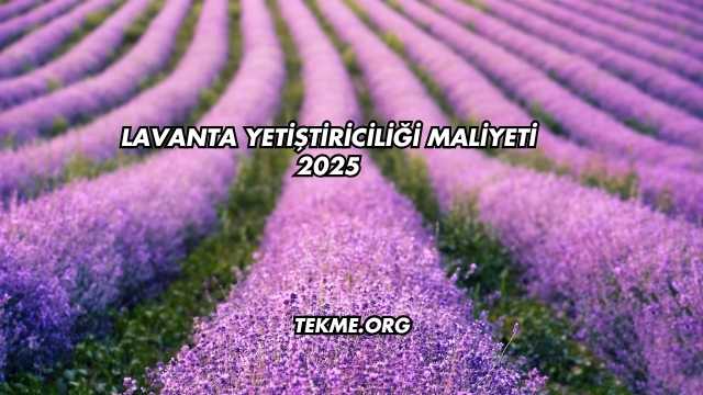 Lavanta Yetiştiriciliği Maliyeti 2025