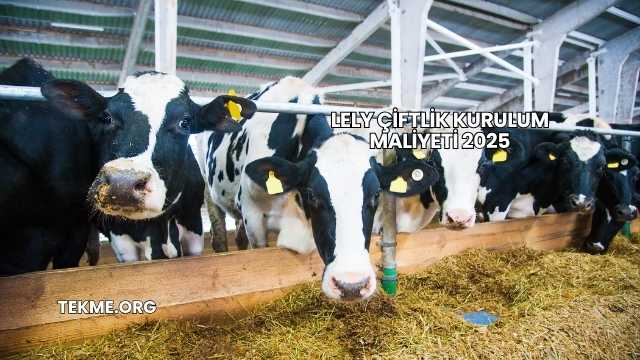 Lely Çiftlik Kurulum Maliyeti 2025