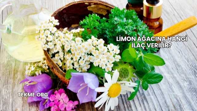 Limon Ağacına Hangi İlaç Verilir?