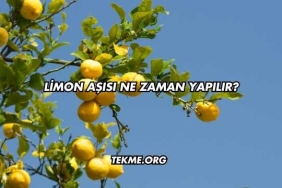 Limon Aşısı Ne Zaman Yapılır?