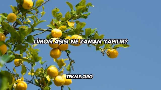 Limon Aşısı Ne Zaman Yapılır?