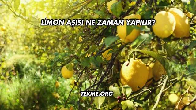 Limon Aşısı Ne Zaman Yapılır?