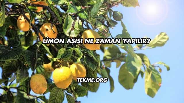 Limon Aşısı Ne Zaman Yapılır?