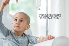 Lösemi Tedavisi Maliyeti 2025