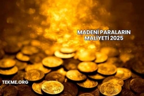 Madeni Paraların Maliyeti 2025