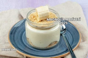 Magnolia Maliyeti 2025