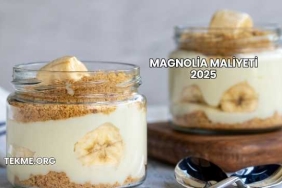 Magnolia Maliyeti 2025