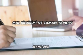 Mal Bildirimi Ne Zaman Yapılır?