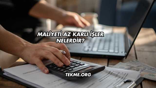 Maliyeti Az Karlı İşler Nelerdir?