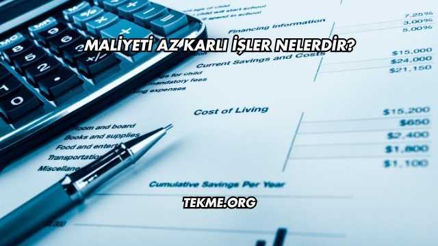 Maliyeti Az Karlı İşler Nelerdir?