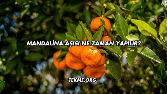 Mandalina Aşısı Ne Zaman Yapılır?