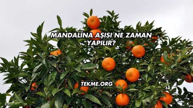 Mandalina Aşısı Ne Zaman Yapılır?