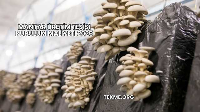 Mantar Üretim Tesisi Kurulum Maliyeti 2025