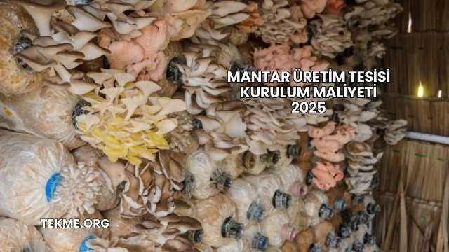 Mantar Üretim Tesisi Kurulum Maliyeti 2025