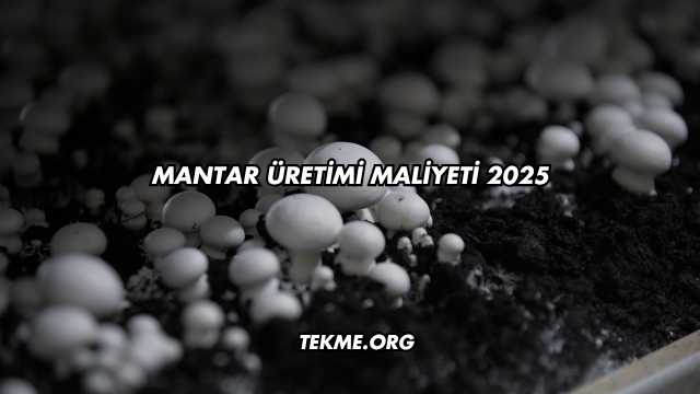 Mantar Üretimi Maliyeti 2025