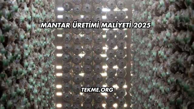 Mantar Üretimi Maliyeti 2025