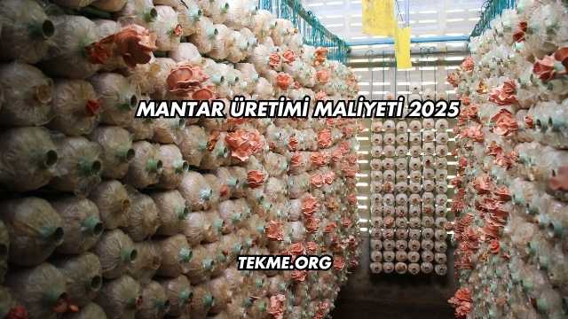 Mantar Üretimi Maliyeti 2025