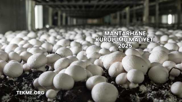 Mantarhane Kurulumu Maliyeti 2025