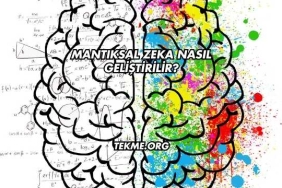 Mantıksal Zeka Nasıl Geliştirilir?