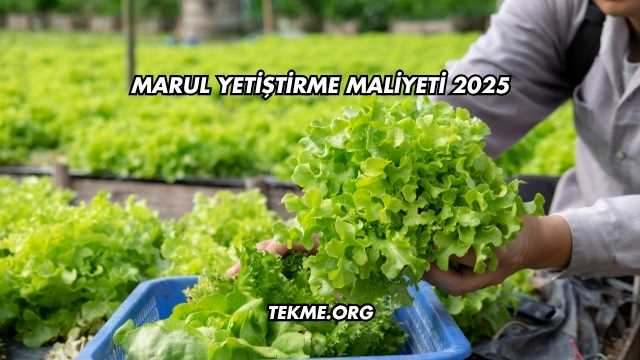 Marul Yetiştirme Maliyeti 2025