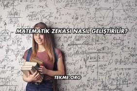 Matematik Zekası Nasıl Geliştirilir?