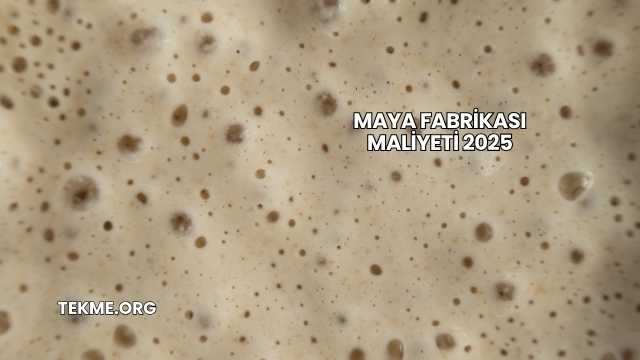 Maya Fabrikası Maliyeti 2025
