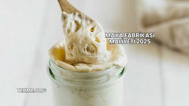 Maya Fabrikası Maliyeti 2025