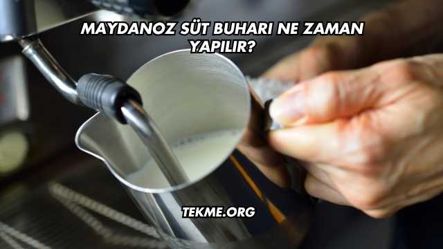 Maydanoz Süt Buharı Ne Zaman Yapılır?