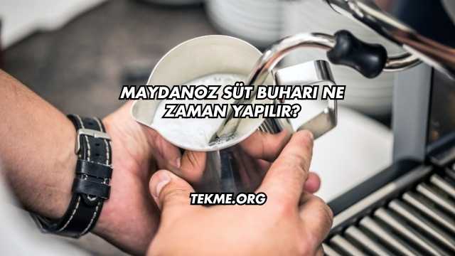 Maydanoz Süt Buharı Ne Zaman Yapılır?