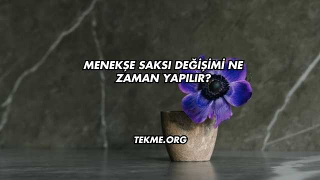 Menekşe Saksı Değişimi Ne Zaman Yapılır?