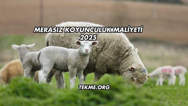 Merasız Koyunculuk Maliyeti 2025
