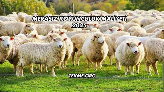 Merasız Koyunculuk Maliyeti 2025
