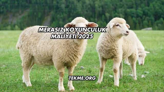 Merasız Koyunculuk Maliyeti 2025