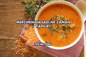 Mercimek Hasadı Ne Zaman Yapılır?