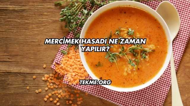 Mercimek Hasadı Ne Zaman Yapılır?