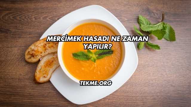Mercimek Hasadı Ne Zaman Yapılır?