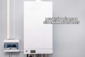 Merkezi Doğalgaz Sistemi Maliyeti 2025