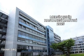 Mersin Şehir Hastanesi Maliyeti 2025