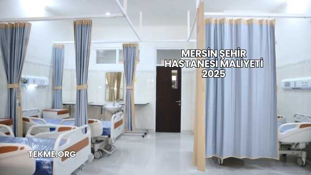 Mersin Şehir Hastanesi Maliyeti 2025