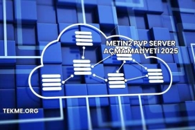 Metin2 PVP Server Açma Maliyeti 2025