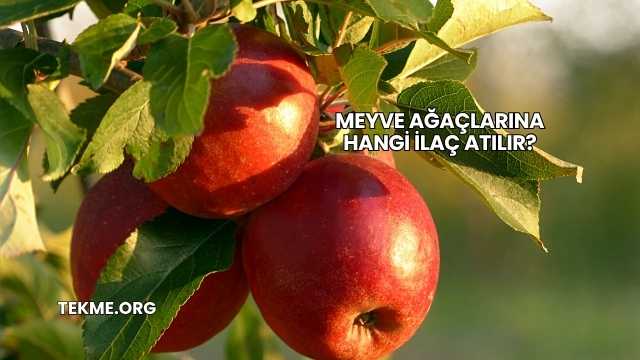 Meyve Ağaçlarına Hangi İlaç Atılır?