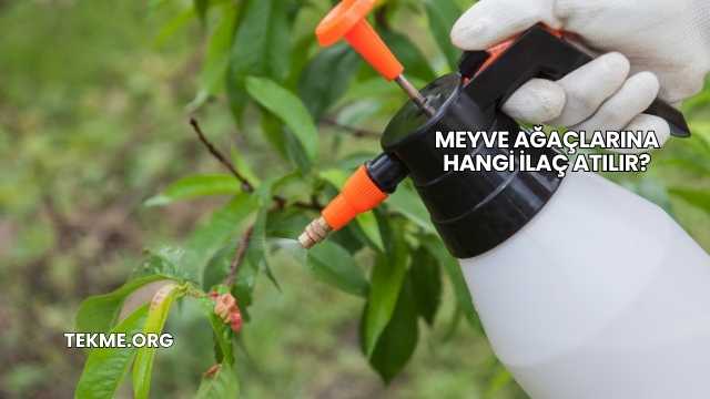 Meyve Ağaçlarına Hangi İlaç Atılır?