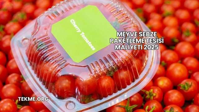 Meyve Sebze Paketleme Tesisi Maliyeti 2025