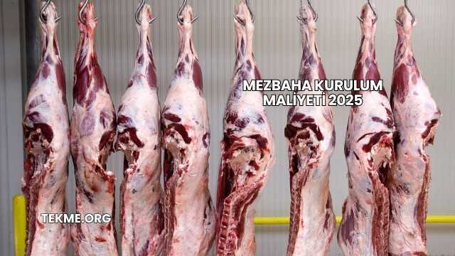 Mezbaha Kurulum Maliyeti 2025