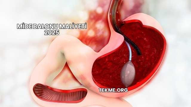 Mide Balonu Maliyeti 2025
